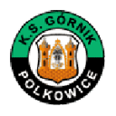 Górnik Polkowice badge