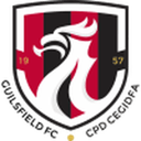 Guilsfield badge
