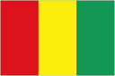 Guinea badge