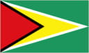 Guyana badge