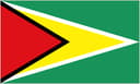 Guyana W badge