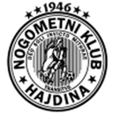 Hajdina badge