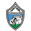 Hamar badge
