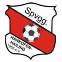 Hankofen-Hailing badge