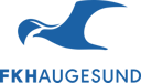 Haugesund W badge