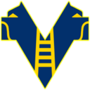 Hellas Verona U20 badge