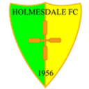 Holmesdale badge