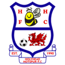 Holyhead Hotspur badge