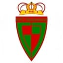 Houtvenne badge