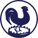 HV & CV Quick badge