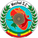 LDF badge