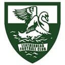 Leatherhead badge