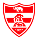 Linense U20 badge