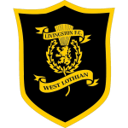 Livingston badge