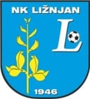 Liznjan badge