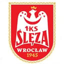 Ślęza Wrocław badge