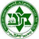 Maccabi Ahi Nazareth badge
