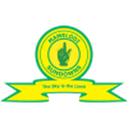 Mamelodi Sundowns W badge