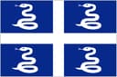 Martinique U20 badge