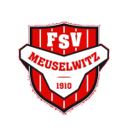 Meuselwitz U19 badge