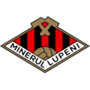 Minerul Lupeni badge