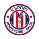 Montecchio Gallo badge