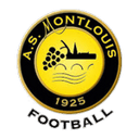 Montlouis badge
