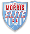 Morris Elite W badge