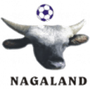 Nagaland badge