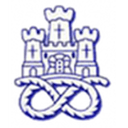 Newcastle Town badge