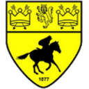 Newmarket badge