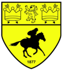 Newmarket Town badge