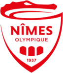 Nimes badge