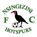 Nsingizini Hotspurs badge