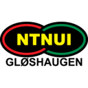 NTNUI badge