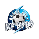 Ocean City Nor'easters badge