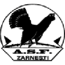 Olimpic Zărneşti badge
