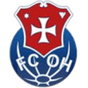 Oliveira Hospital badge