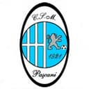 Paşcani badge