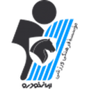Paykan badge