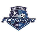 Pinzgau Saalfelden badge