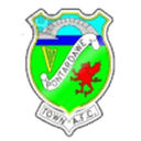 Pontardawe Town badge