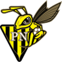Progres Niederkorn badge