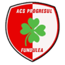 Progresul Fundulea badge