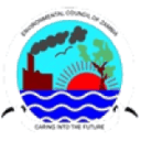 Roan United badge