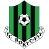 Rokycany badge