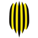Ruh Lviv badge