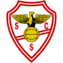 Salgueiros badge