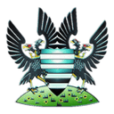 Salisbury badge