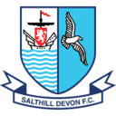Salthill Devon badge